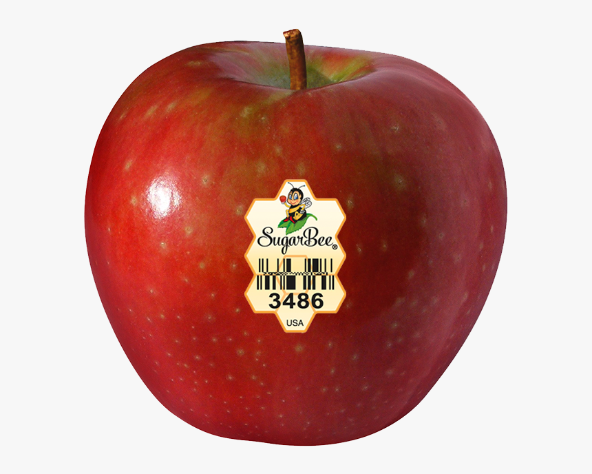 Chelan Apples Washington, HD Png Download, Free Download