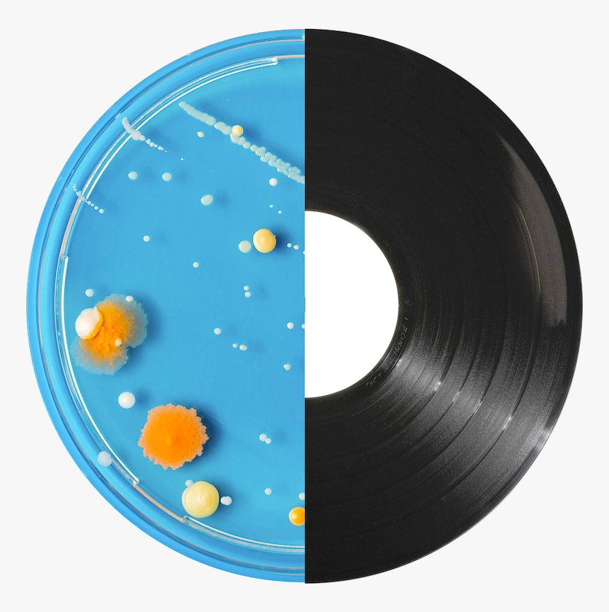 Dish And Record Circle, HD Png Download kindpng