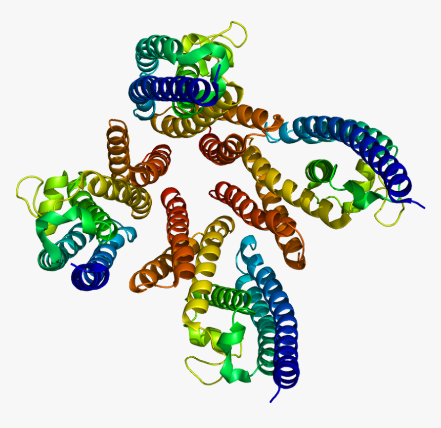 Protein Tsn Pdb 1j1j - Translin Associated Protein Factor X, HD Png Download, Free Download