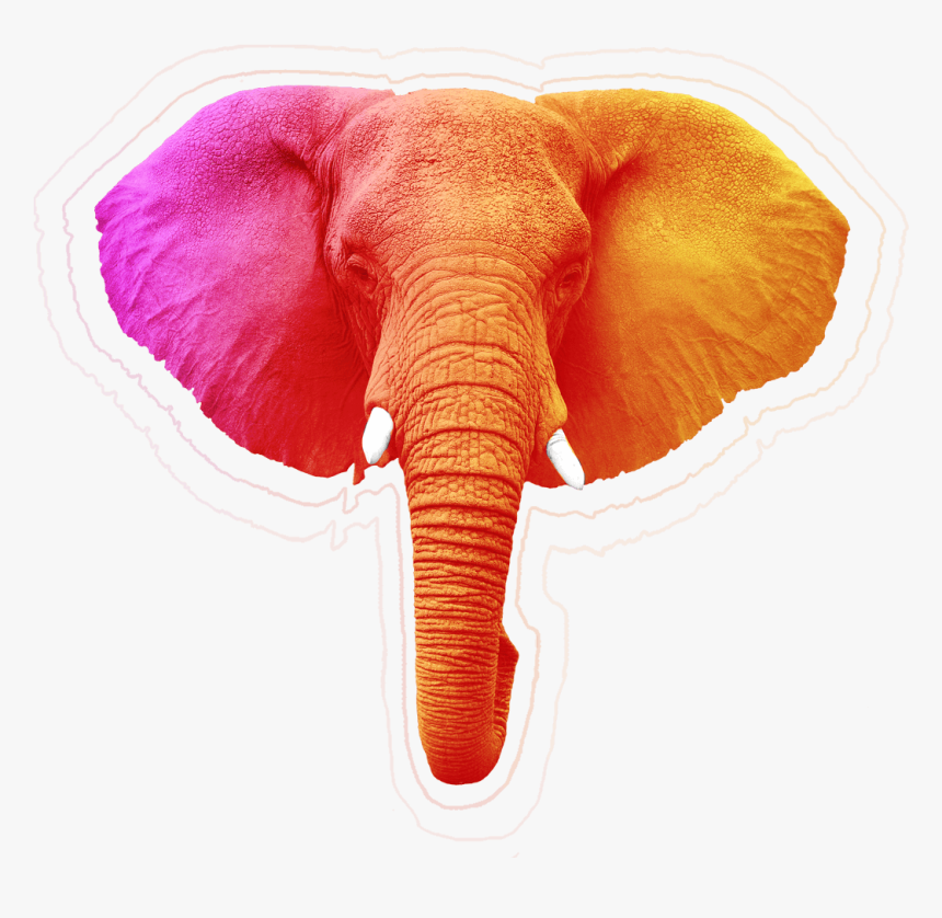 Elephant Head Realistic Drawing, HD Png Download, Free Download