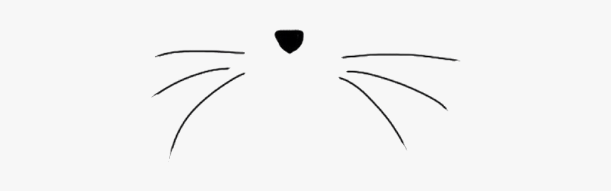 #cute #cat #whiskers #catwhiskers #freetoedit - Transparent Cat Whiskers Png, Png Download, Free Download