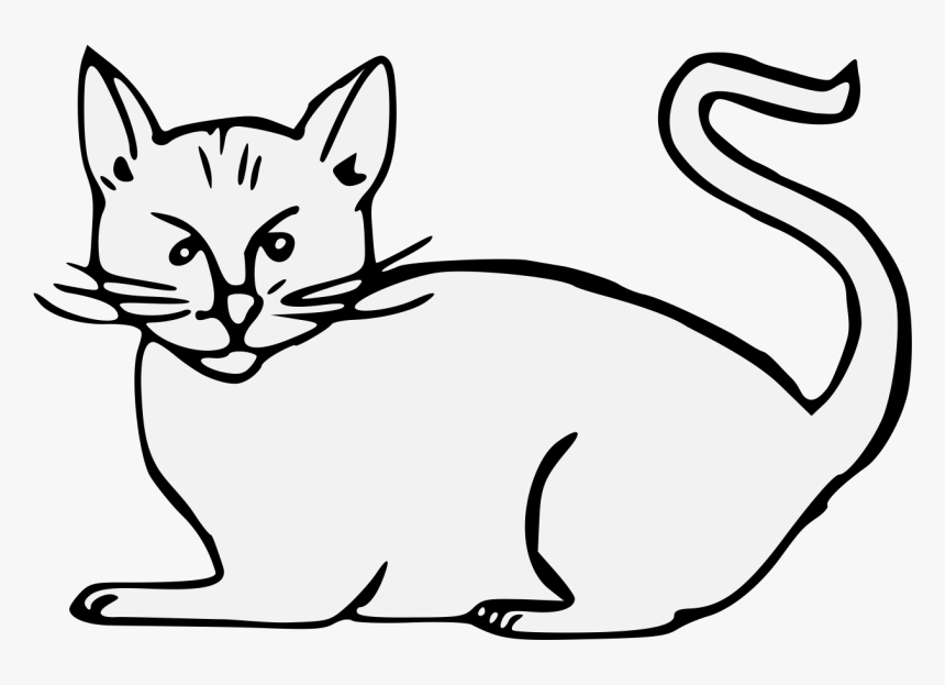 Transparent Cat Whiskers Png - Domestic Short-haired Cat, Png Download, Free Download