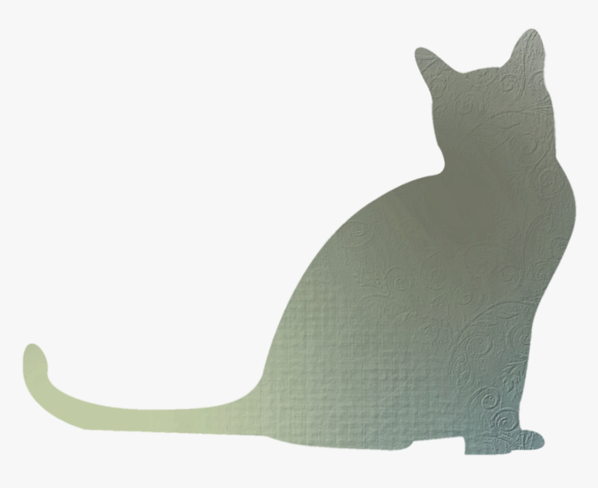 Whiskers Cat Shadow Clip Art - Cat Figure Shadow, HD Png Download, Free Download