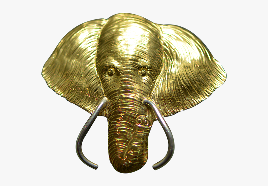 Transparent Elephant Head Png - Indian Elephant, Png Download, Free Download