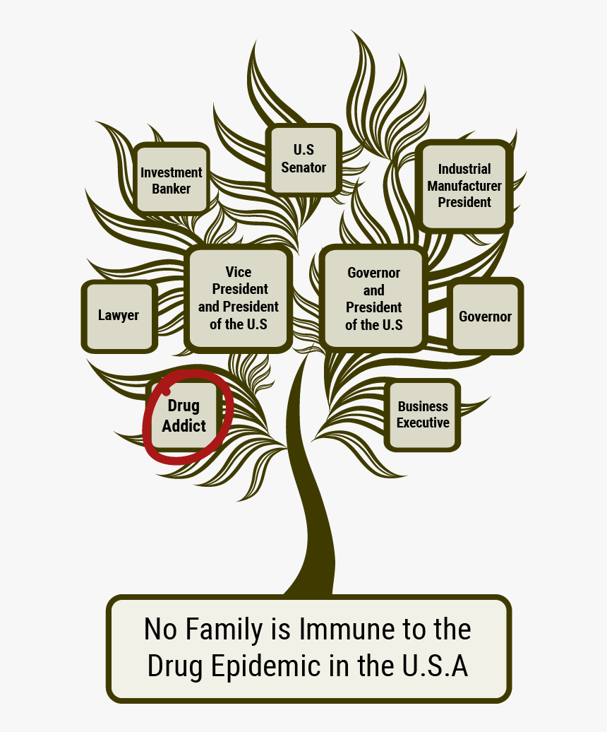 Drug Addict Family Tree, HD Png Download, Free Download