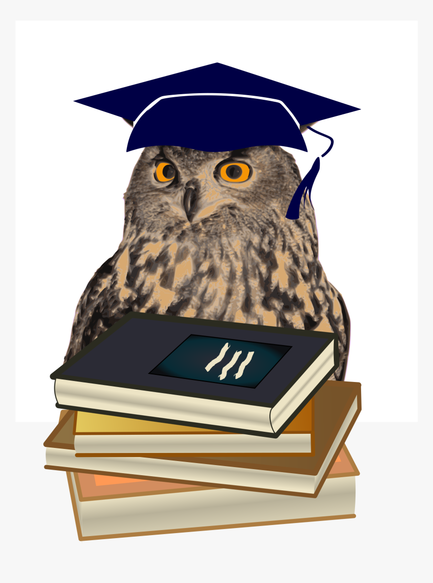 Graduation Clipart Owl, HD Png Download, Free Download