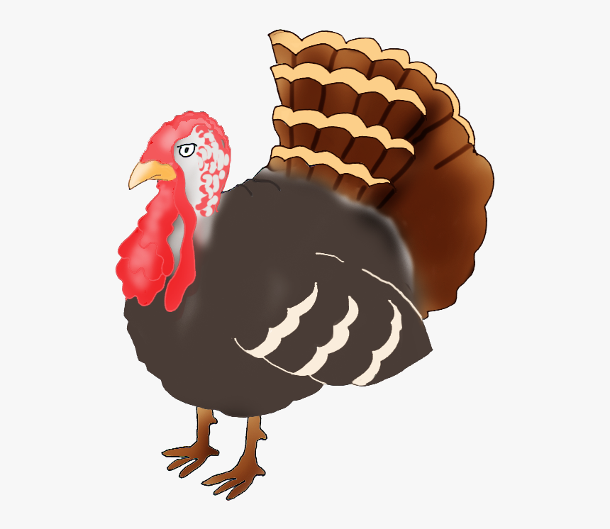 Turkey Drawing Pictures Free - Fat Turkey Drawing, HD Png Download, Free Download