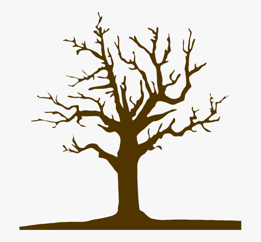 Tree, Logo, Nature, Design, Symbol, Icon, Silhouette - ต้นไม้ Logo, HD Png Download, Free Download