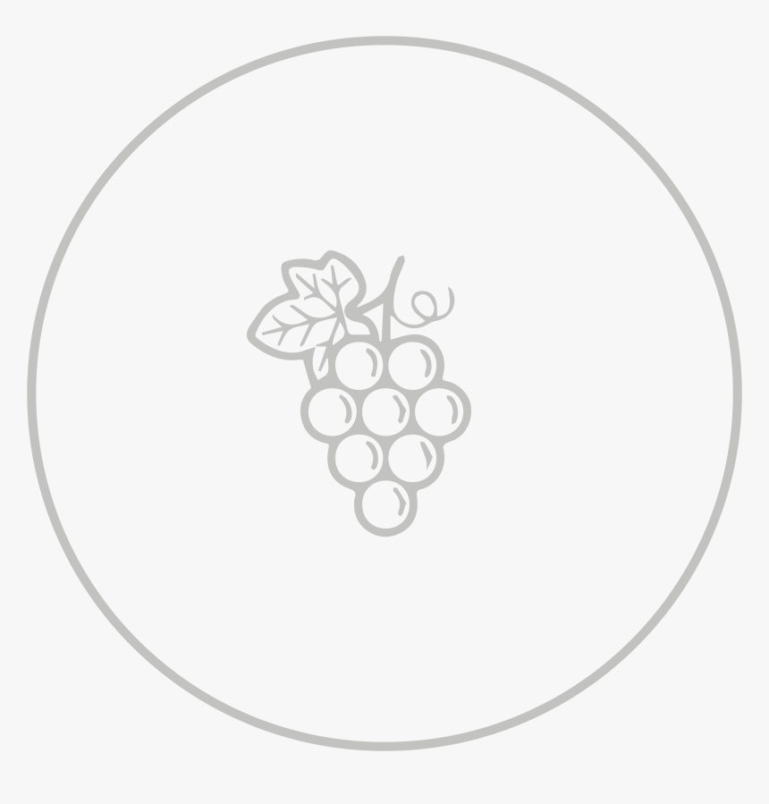 Grapes Grey Circle - Grapes Clipart Black And White Png, Transparent Png, Free Download