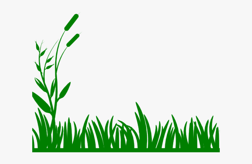 Transparent Swamp Png - Black And White Grass, Png Download, Free Download