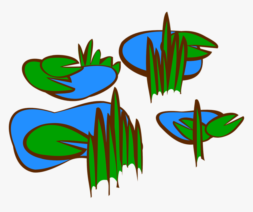 Lily Pads, Swamp, Marsh, Pond, Plants, Water, Nature - Marsh Clip Art, HD Png Download, Free Download