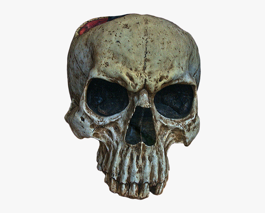 Skull, Skull And Crossbones, Skull Bone, Scary, Creepy - Skull, HD Png Download, Free Download