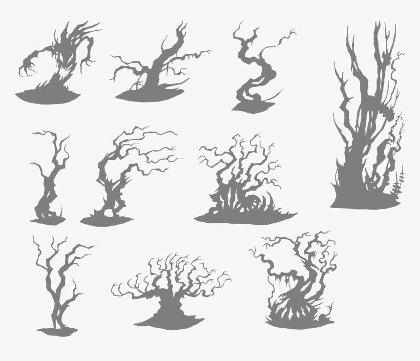 Drawing Tree Woody Plant - Illustration, HD Png Download, Free Download
