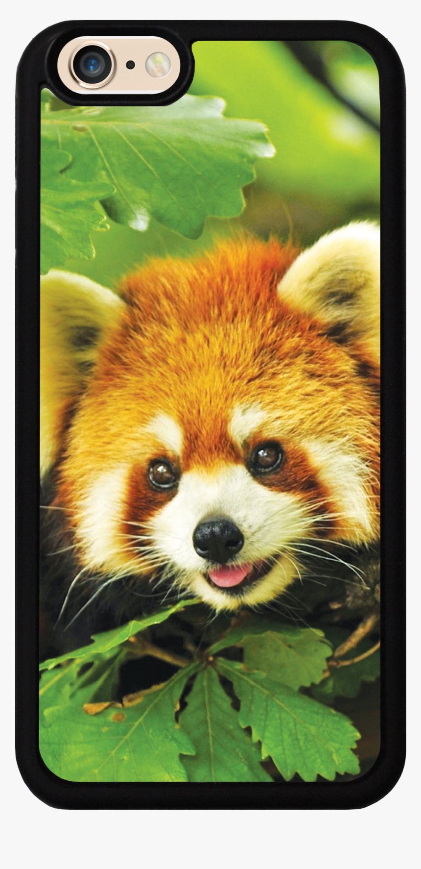 Red Panda Cute Case - Best Animal Wallpaper For Mobile, HD Png Download, Free Download