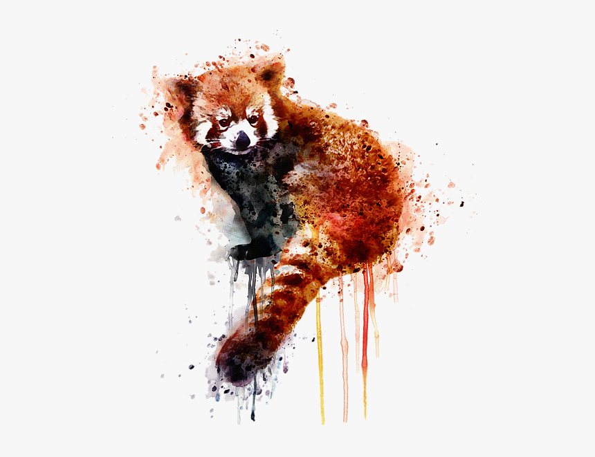 Watercolor Red Panda Art, HD Png Download, Free Download