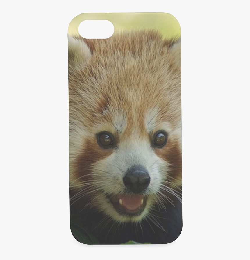 Red Panda Hard Case For Iphone Se - Mobile Phone, HD Png Download, Free Download