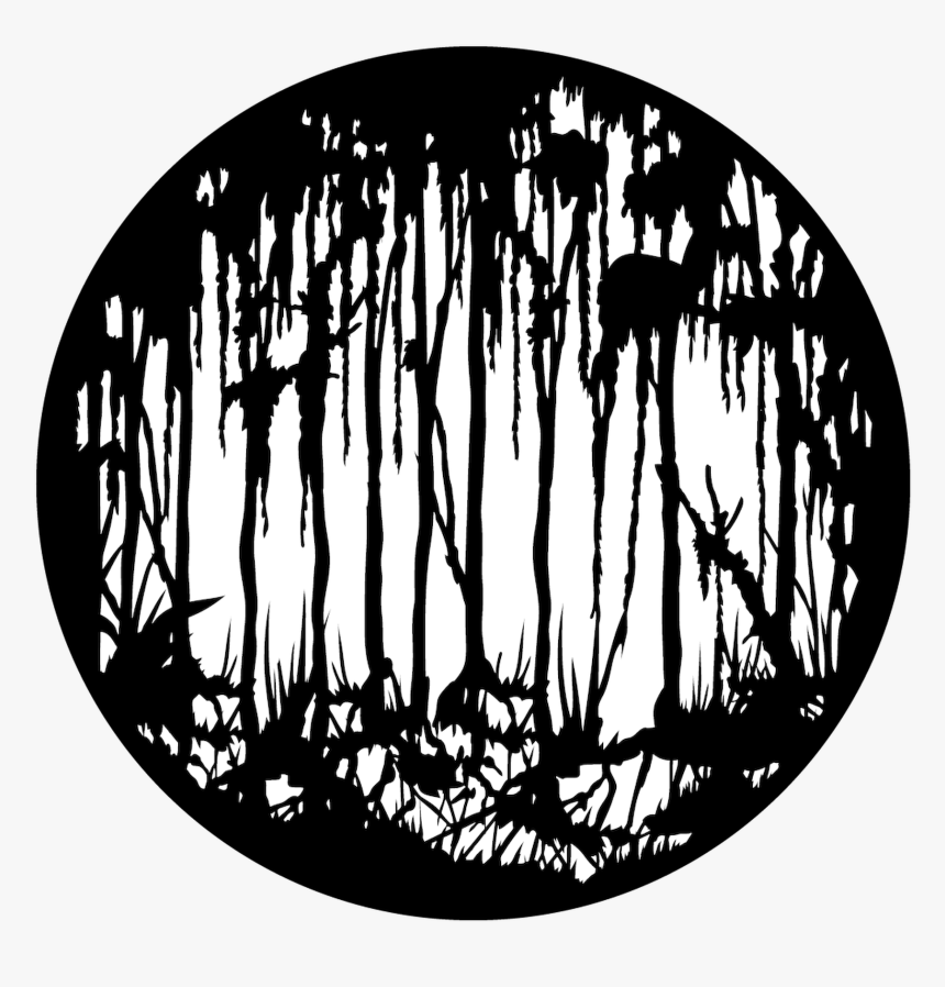 Scary Swamp- Dark - Scary Gobo, HD Png Download, Free Download