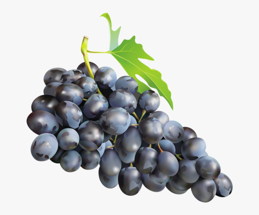 Imagem De Frutas - Black Grapes Png, Transparent Png, Free Download