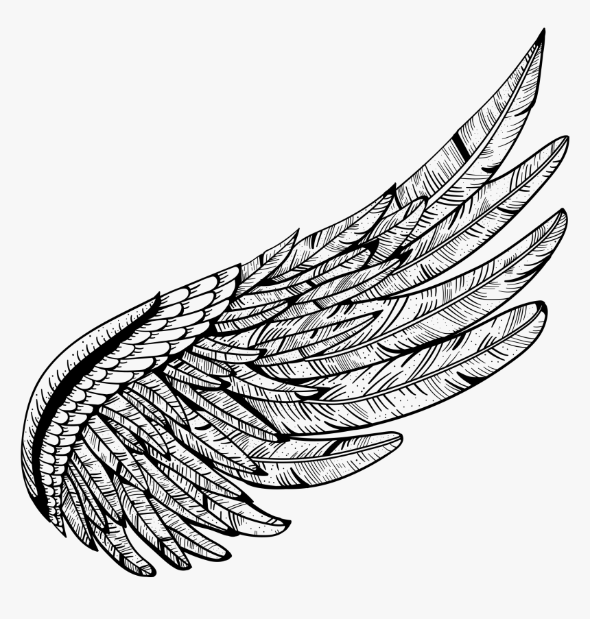 Angel Wings Silhouette, HD Png Download, Free Download