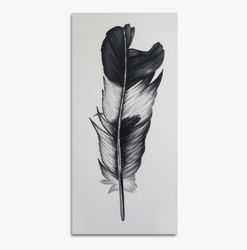 Black And White Feather - Illustration, HD Png Download, Free Download