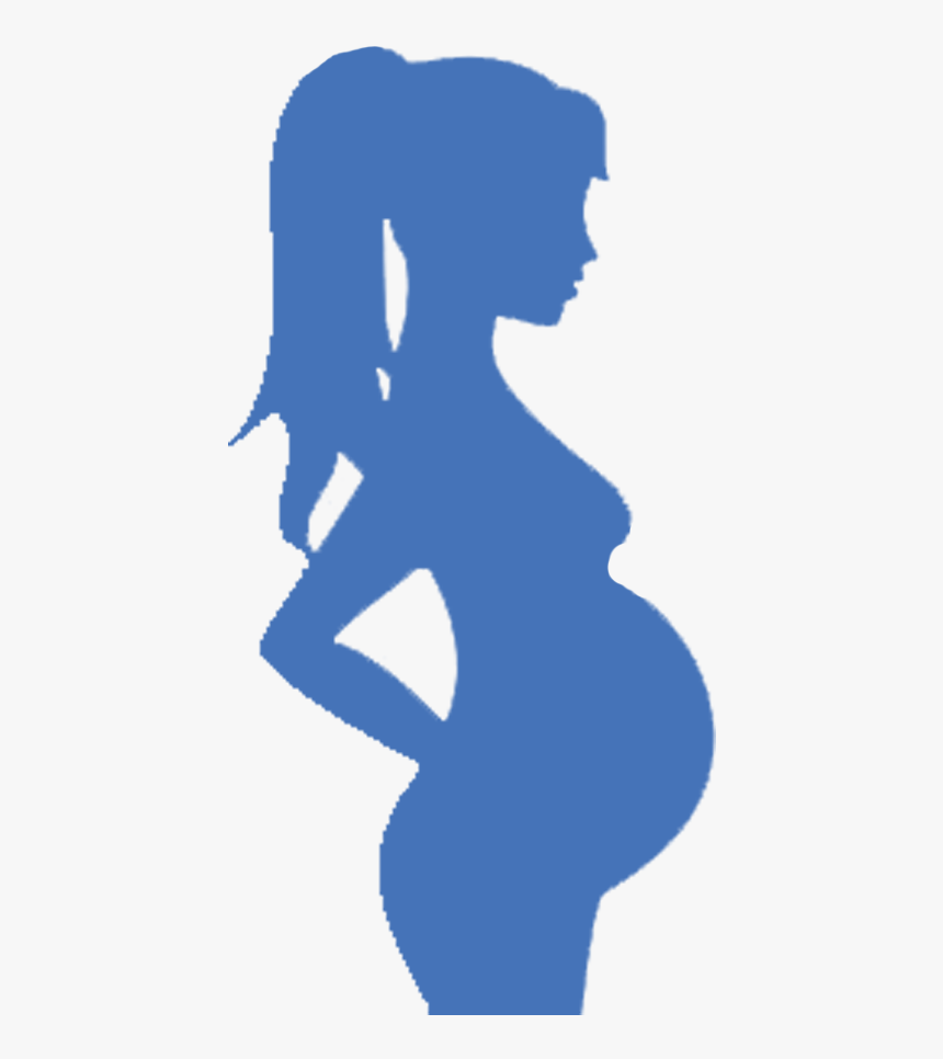 We Have A Very High Success Rate And Outstanding Results - Pregnant Woman Silhouette With Baby, HD Png Download, Free Download