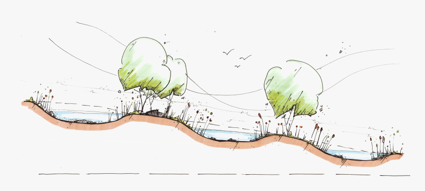 Architecture Hand Drawn Trees, HD Png Download, Free Download