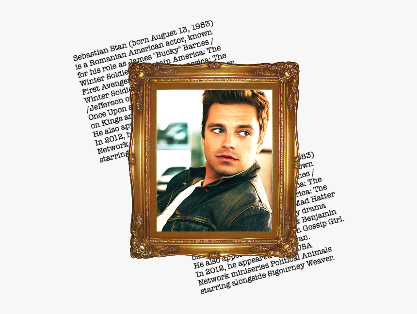 Celebrating 25,000 Posts @ Sebastian Stan - Picture Frame, HD Png Download, Free Download