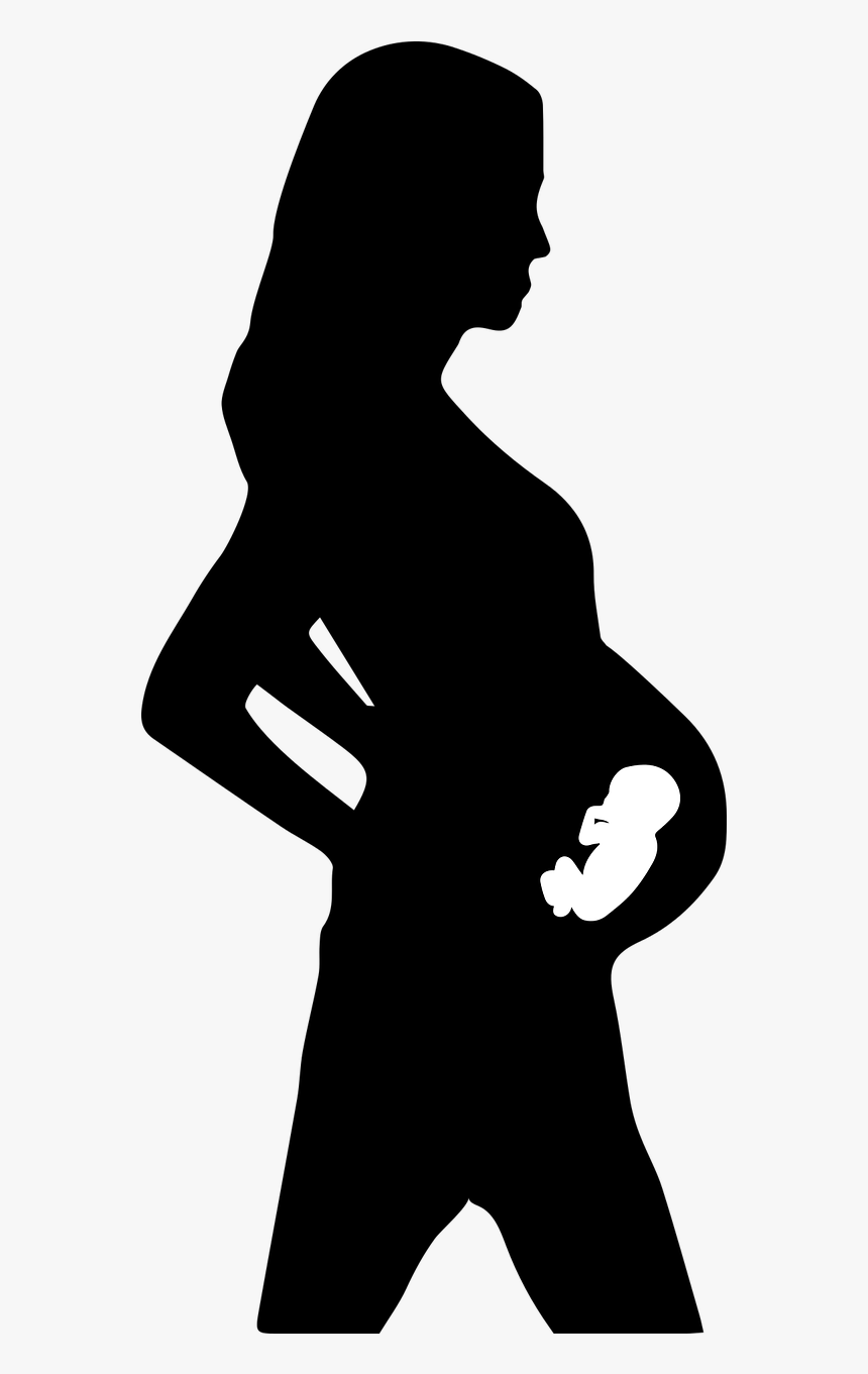 The Transition To Motherhood For Therapists - Transparent Pregnant Woman Clipart, HD Png Download, Free Download
