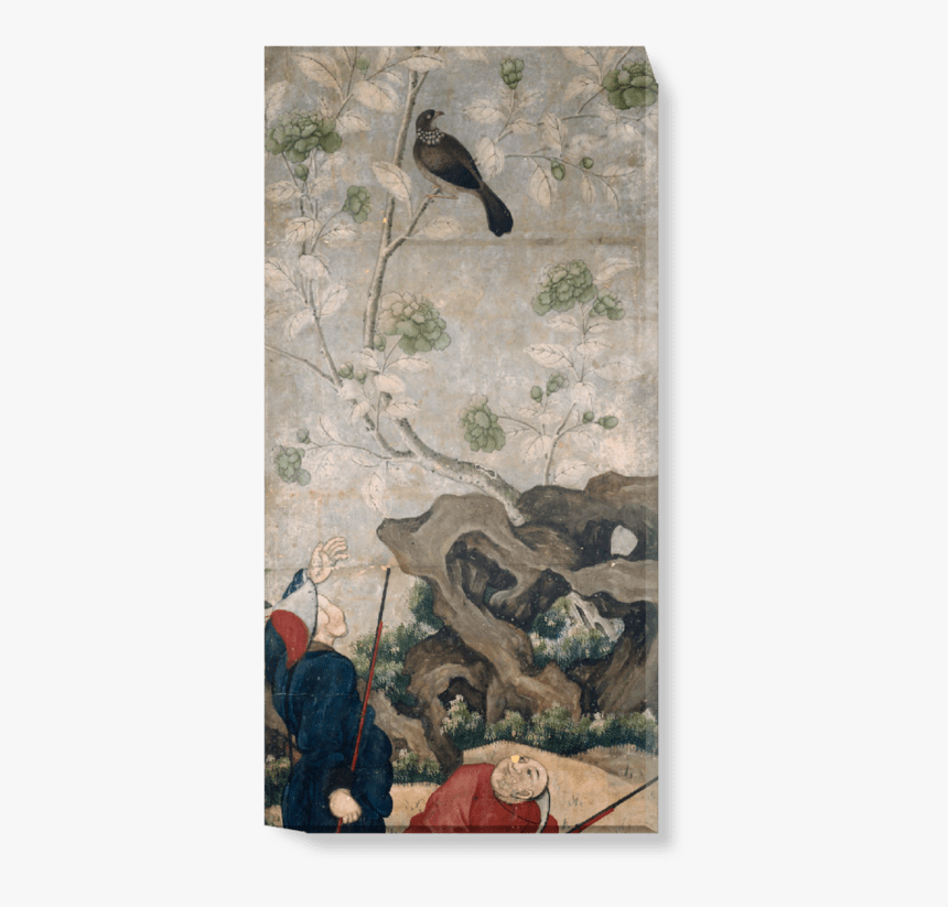 Pigeons And Doves, HD Png Download, Free Download