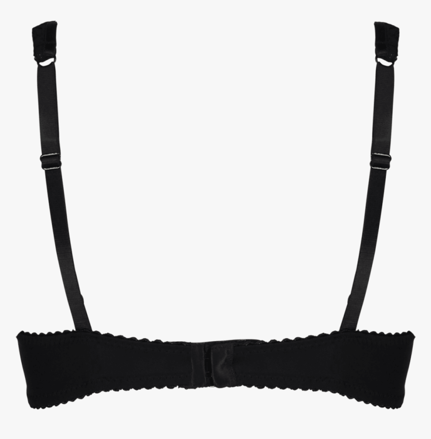 Transparent Black Snake Png - Brassiere, Png Download, Free Download