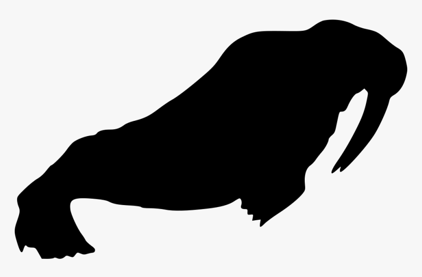Walrus - Walrus Png, Transparent Png, Free Download