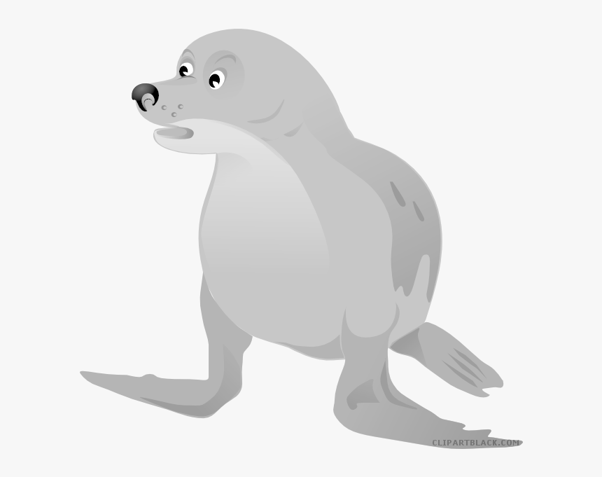 Sea Lion Walrus Baby Harp Seals Clip Art - Cartoon Seal Animal Png, Transparent Png, Free Download