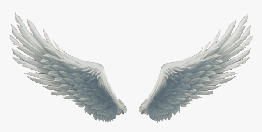 Wings Png Photo Background - Angel Wings, Transparent Png, Free Download