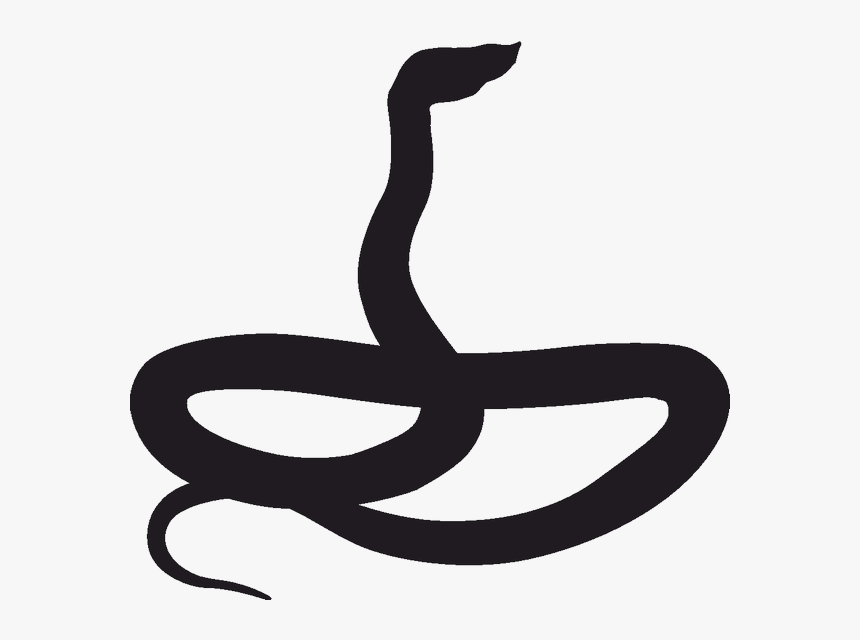 Snake Silhouette Ptyas Mucosa Clip Art - Snake Png Silhouette, Transparent Png, Free Download
