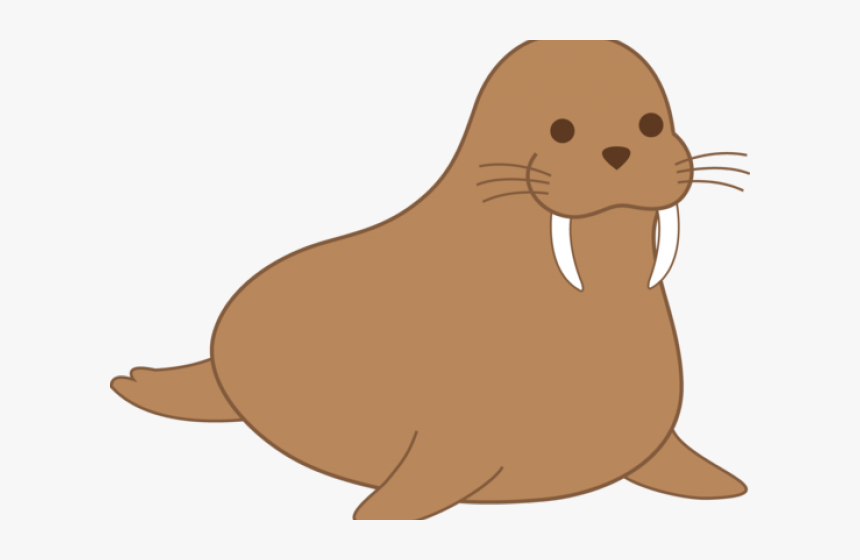 California Sea Lion, HD Png Download, Free Download