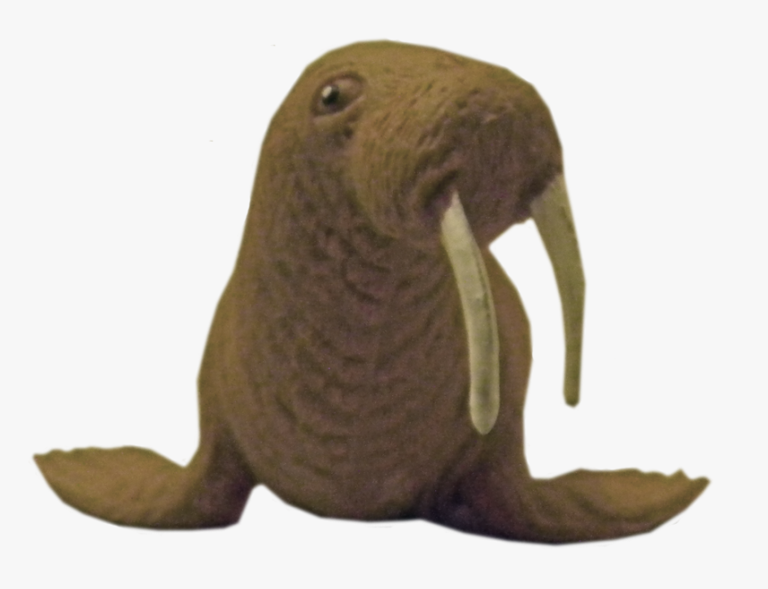 Walrus Png Transparent - Animal Figure, Png Download, Free Download