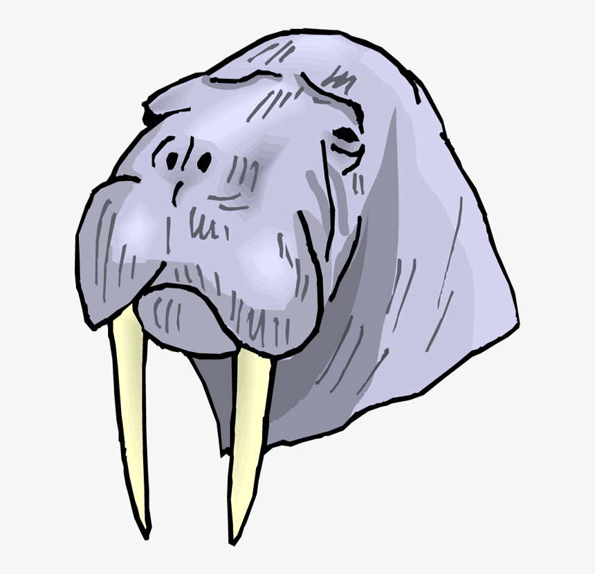 Walrus Cliparts - Walrus, HD Png Download, Free Download