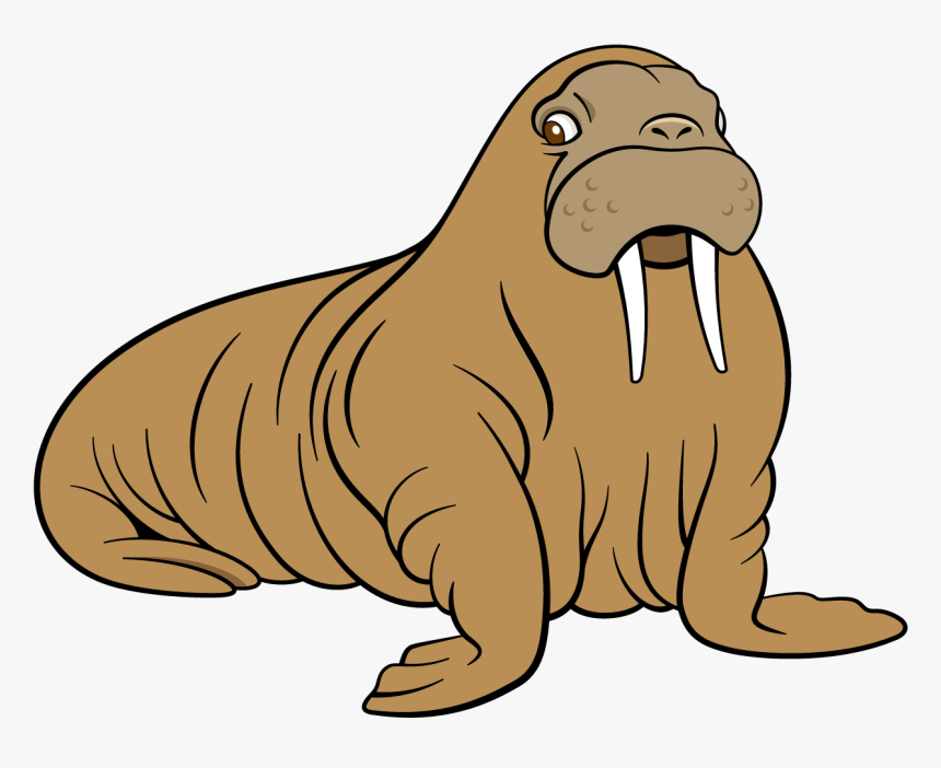 Sea Lion Dog Transprent - Clip Art Sea Lion, HD Png Download, Free Download