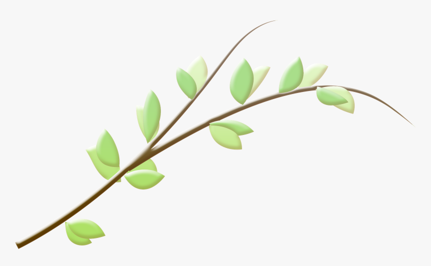 Branch Leaf Twig - Twig, HD Png Download, Free Download