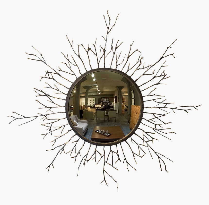 Mirror - Magnetic Field Around A Circular Magnet, HD Png Download, Free Download