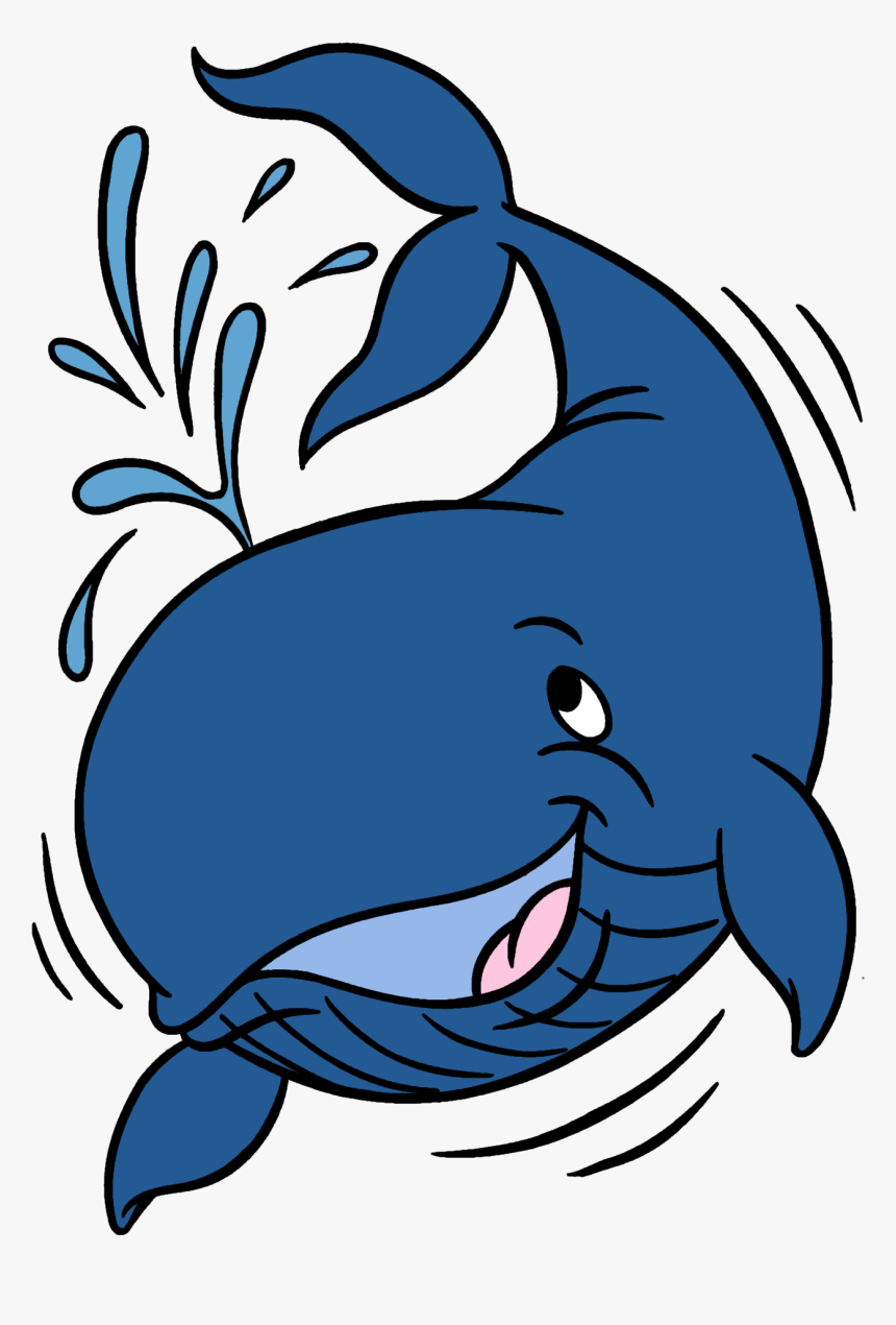 Walrus Clipart Ocean - Whale Clipart, HD Png Download, Free Download