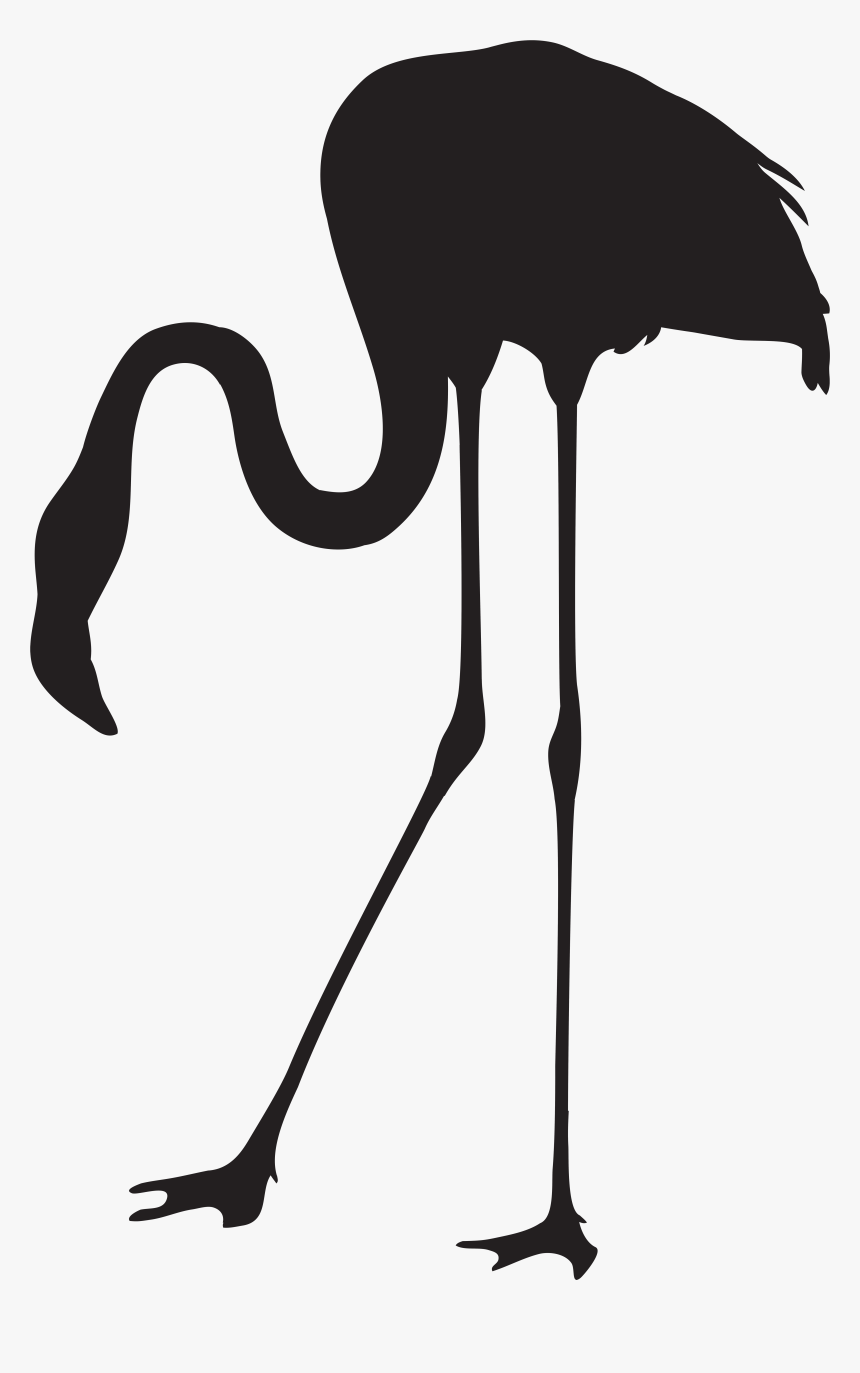 Ostrich Clipart Svg - Flamingo Silhouette Png, Transparent Png, Free Download