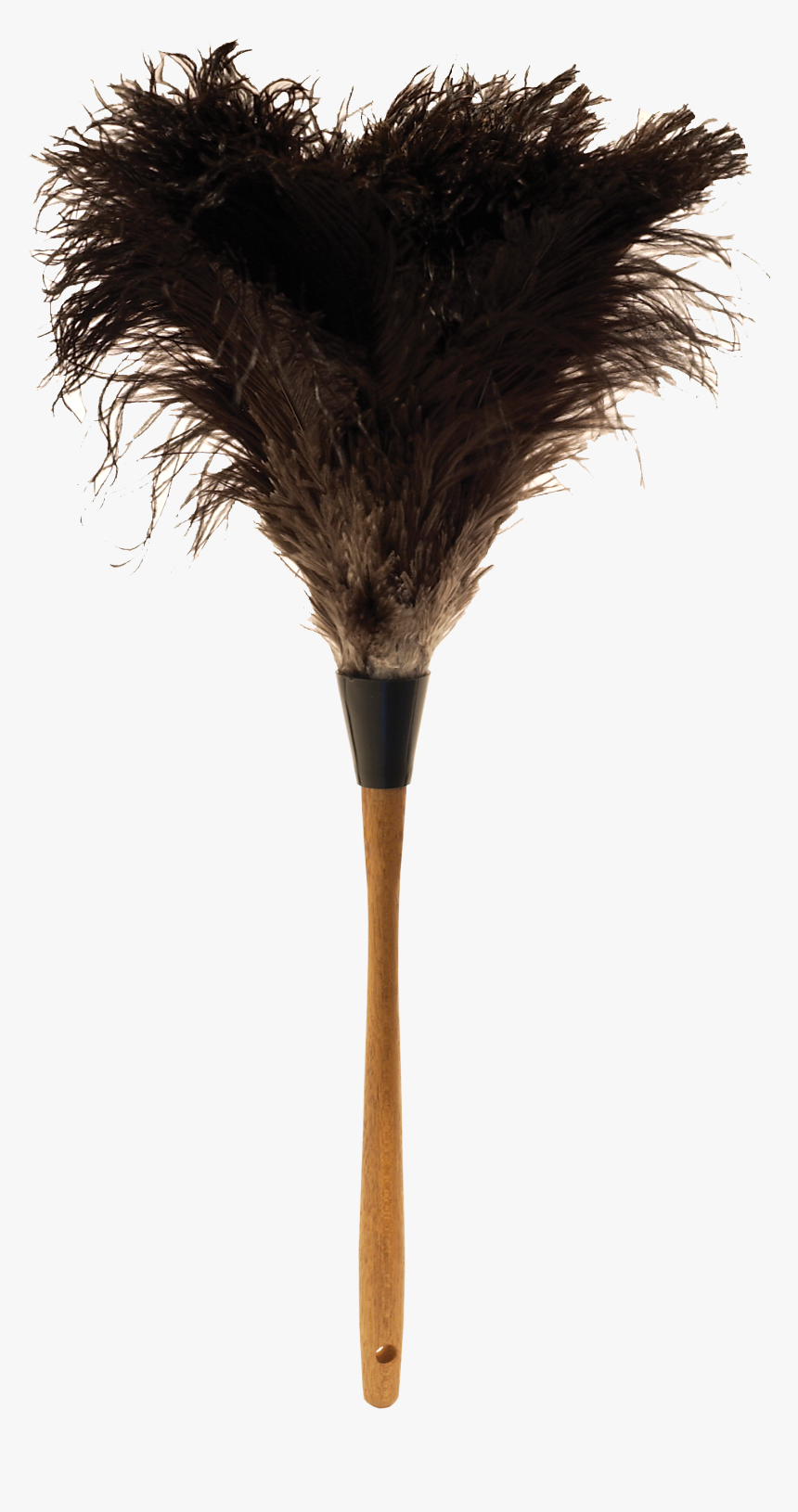 Ostrich Feather Png - Ostrich Feather Duster Png, Transparent Png, Free Download