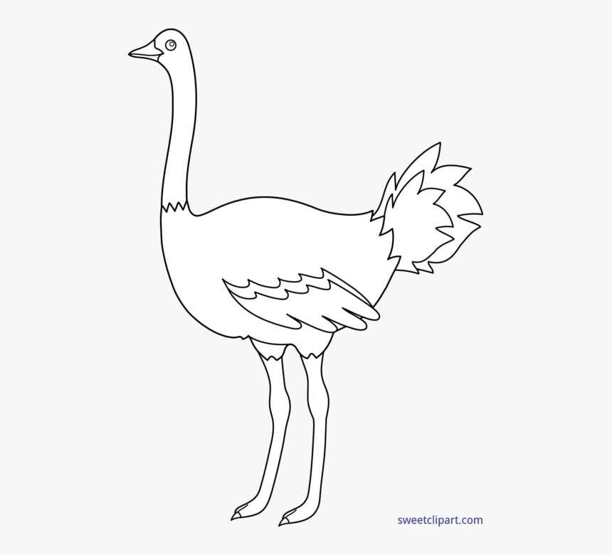 Clip Art Sweet - Ostrich Black And White, HD Png Download, Free Download
