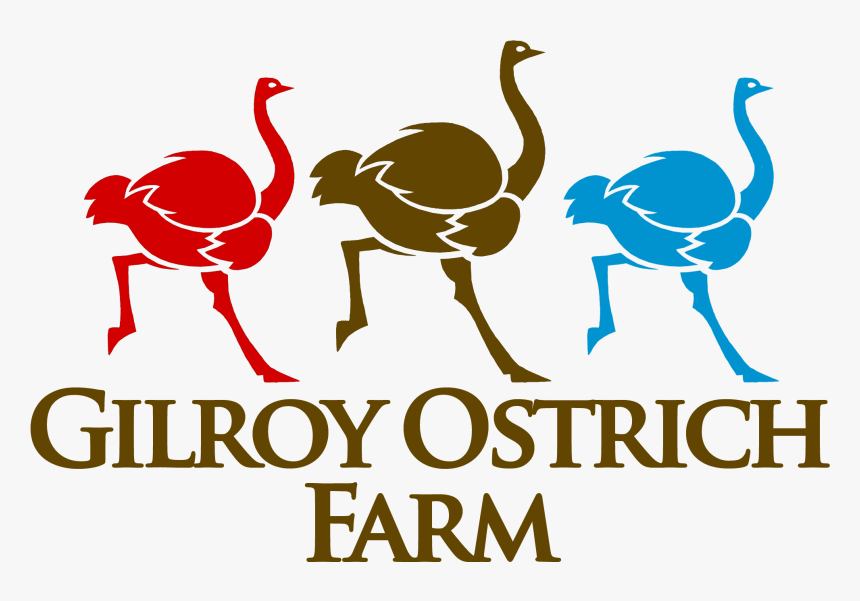 Gilroy Ostrich Farm - Ostrich Big Farming, HD Png Download, Free Download