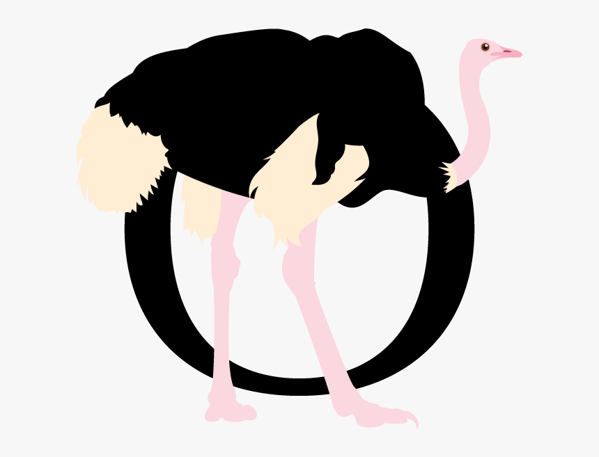 Ostrich Clipart Г±andu - Illustration, HD Png Download, Free Download