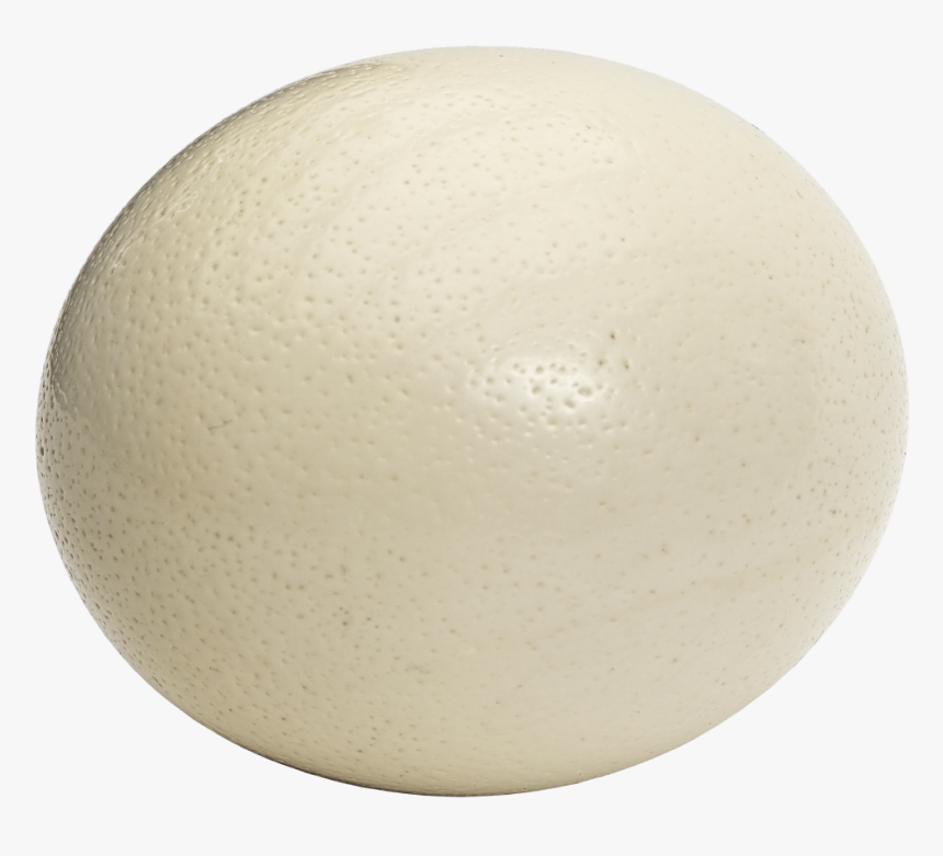 Pearl White Ostrich Egg - Ostrich Egg Png, Transparent Png, Free Download