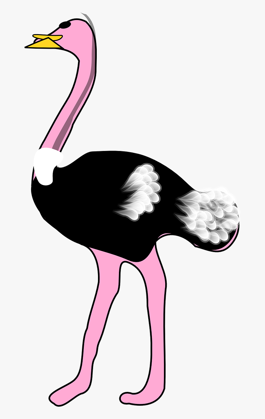 Ostrich Cliparts, HD Png Download, Free Download