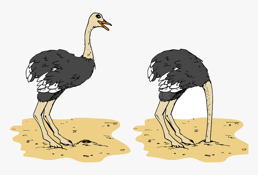Ostrich - Ostrich Head In Sand Cartoon Clipart, HD Png Download, Free Download