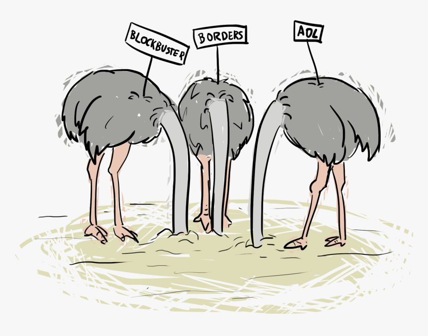 Ostrich Clipart Sand - Ostrich Free Cartoon, HD Png Download, Free Download